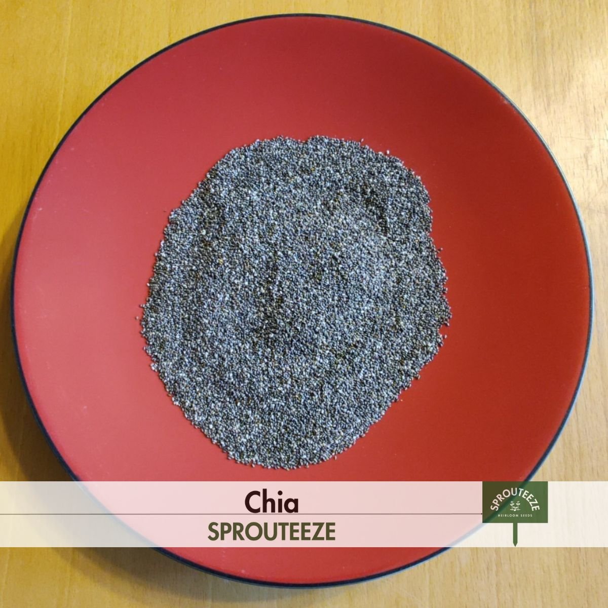 Chia Seeds: Ancestral SuperFood