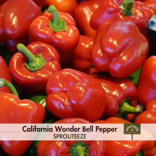 Pepper seeds, California Wonder Bell- Grow Garden Fresh Healthy Snacks