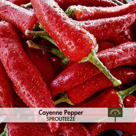 Pepper seeds, Cayenne- Spice Up Your Backyard Heirloom Garden today!