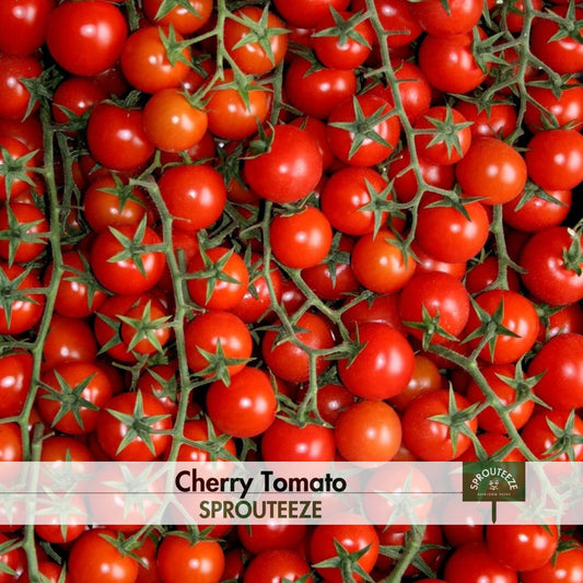 Cherry Tomato Seeds- Indeterminate Variety Perfect for Fresh Salads & Snacks