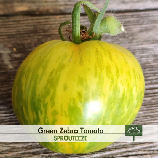 Tomato seeds, Green Zebra- Easy to Grow Your Own Unique Tomatoes!