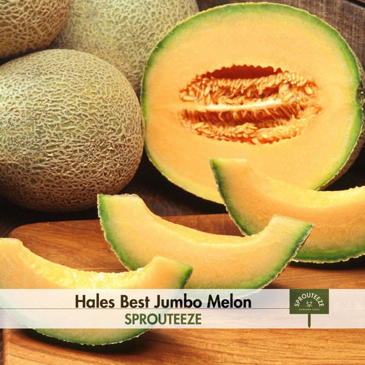 Hales Best Jumbo Melon seeds- Grow Your Own Sweet Cantaloupes at Home