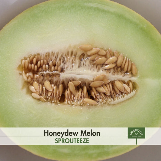 Honeydew Melon seeds- Easily Grow Your Own Melons in Hot Climates