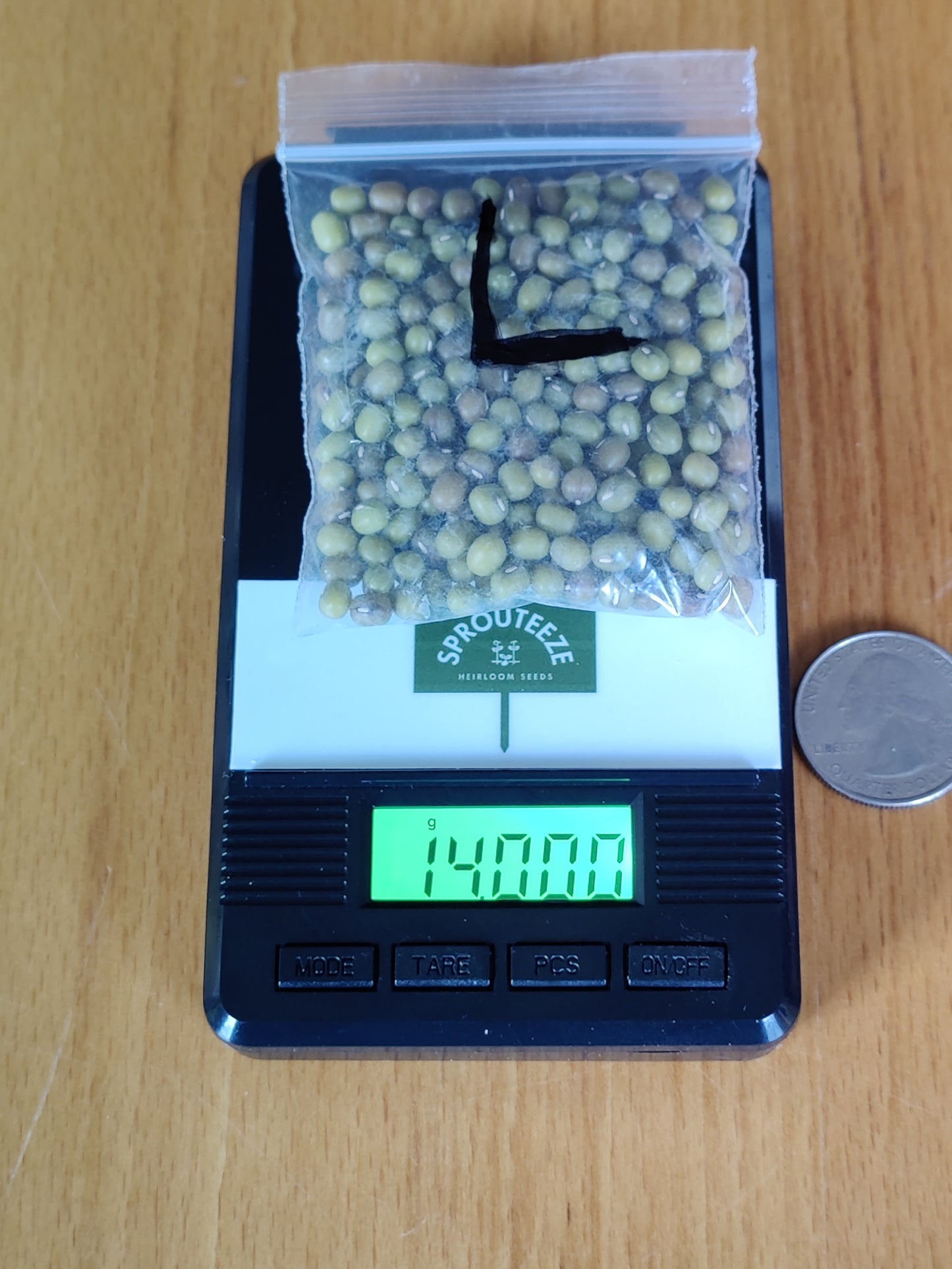 Mung Beans- Grow Your Own Healthy Legumes or Enjoy Them Sprouted