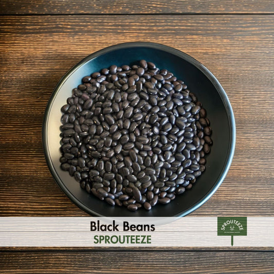 Black Bean- perfect for exotic dishes & a unique gift for chefs