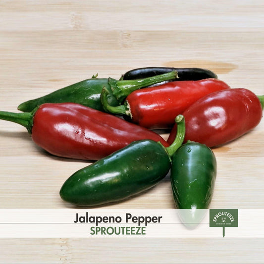 Jalapeno Pepper seeds- Spice Up Your Garden by Growing Peppers